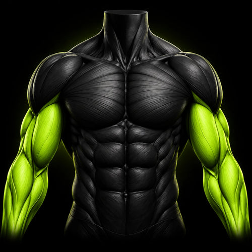 Arms